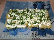 Салат футбольний, рецепт з фото, покроковий Викласти
