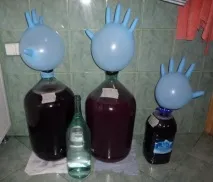 браги
