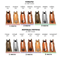 Найпопулярніші прізвиська коней, Перший Кінний журналonline коней