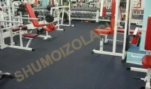 Шумоізоляція спортивної зали шуму