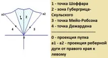 имената