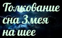 Змія на шиї приснилася до чого сниться Змія на шиї уві сні - тлумачення снів чого