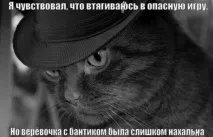 Смішні картинки про кота смішні