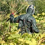 Способи знищення борщівника – обробка хімічними засобами хімічними
