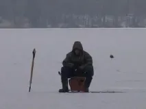 підгодовування