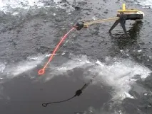 підгодовування