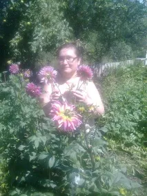 Чи варто на дачі саджати картоплю, якщо все одно на зиму не вистачить варто