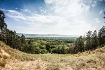 Весілля "Самарські Альпи", база відпочинку "Веселка", весілля
