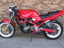 bandit
