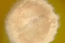 Татарський сметанник - рецепт з покроковими фото покроковими
