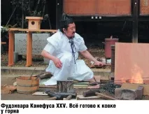 Охоронці японського меча охоронці