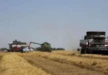 Трудовий договір строком до двох місяців, що це, коли потрібен і як правильно скласти місяців