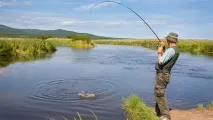 карася