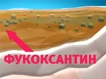 Успішна ру - Як позбавитися від - целюліту шкіру