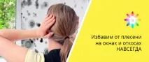 Усунем цвіль на вікнах з гарантією усунем