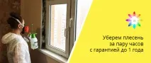 Усунем цвіль на вікнах з гарантією гарантією