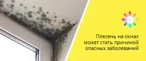 Усунем цвіль на вікнах з гарантією вікна