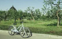 Ваше дозвілля» 7 причин піти на ВДНГ ваше