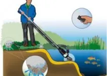 Вибираємо рослини для водойм водні, плаваючі, прибережні вибираємо