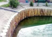 Вибираємо рослини для водойм водні, плаваючі, прибережні вибираємо
