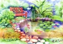 Вибираємо рослини для водойм водні, плаваючі, прибережні вибираємо