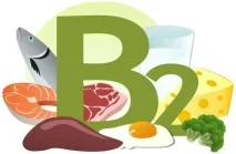 Вітамін В2 (рибофлавін) – біологічна роль в організмі, вміст у продуктах та добова норма біологічна