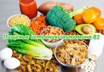 організм