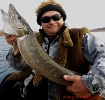 Воблери YO-ZURI 3DS Shad F958-F957 та 3D Minnow F621-F622 подібності та відмінності воблери