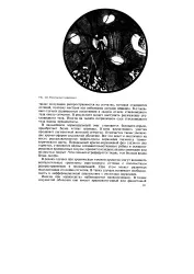 Хоріоїдит - Велика Енциклопедія Нафти та Газа, стаття, сторінка 1 хоріоїдит