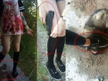 Хабарівські студентки-живодерки збиралися – їхати на Донбас вбивати збиралися