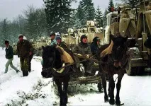 боснійської