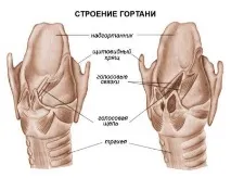 види