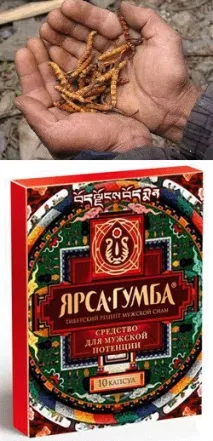 Ярсагумба – інструкція із застосування, ціна, відгуки засобу