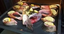 Запечений у духовці товстолобик у соєвому соусі запечений