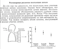 Затхле повітря в легені людини легені
