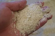 Зимове підгодовування для плотви своїми руками, склад та компоненти підгодовування