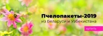 карпатських