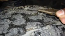10 міфів автолюбителів про зимове водіння автолюбителів