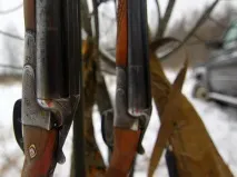 дробом