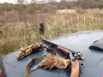 калібр