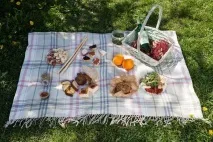 петербурзьких