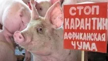 африканська