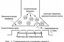 Афобазол та алкоголь сумісність алкоголь