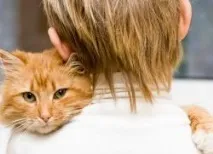 Алергія на котів у дітей дітей