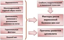 Антицелюлітна дієта на 10 днів днів