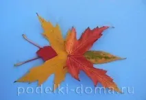 аплікація