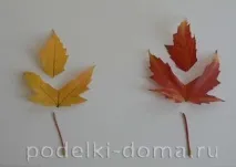 метелики