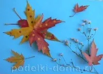 метелики