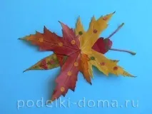 аплікація