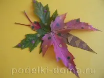 листя